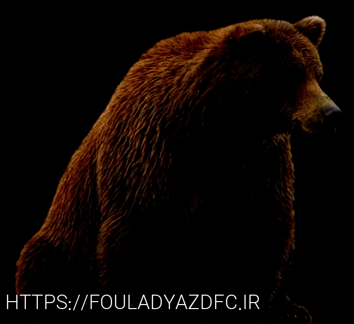 What do animals eatanimal diets